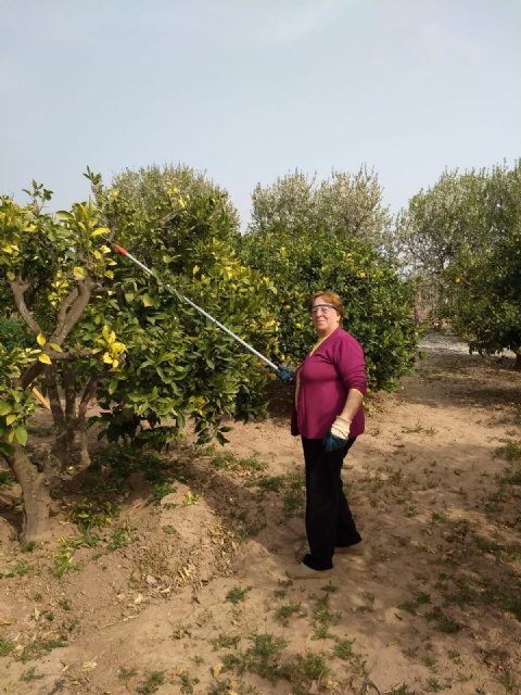 La Asociación Sociocultural de la mujer Totanera sigue trabajando en la igualdad de la mujer, Foto 4