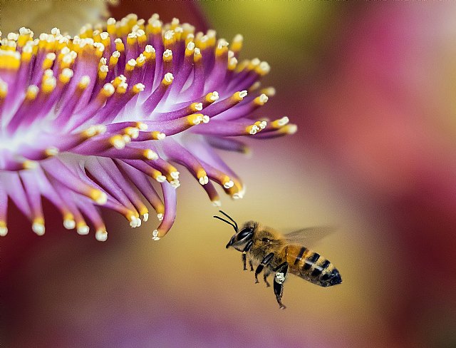 Consejos para sobrellevar la alergia al polen en una primavera distinta - 1, Foto 1