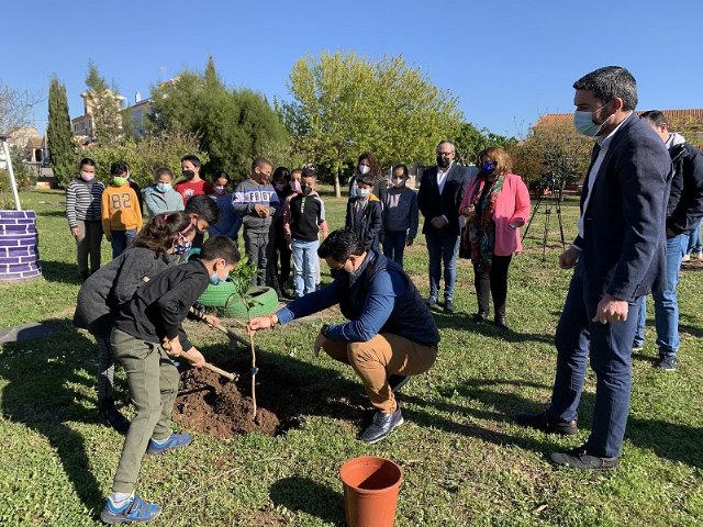 El consejero, Antonio Luengo y el alcalde, José MIguel Luengo asisten a una plantación de árboles en el CEIP Sevecho Ochoa, de San Javier - 1, Foto 1