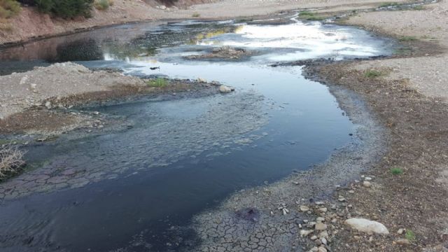 IU Lorca denuncia que el equipo de Gobierno municipal no ha movido un dedo para evitar el vertido de aguas fecales en el pantano de Puentes - 1, Foto 1