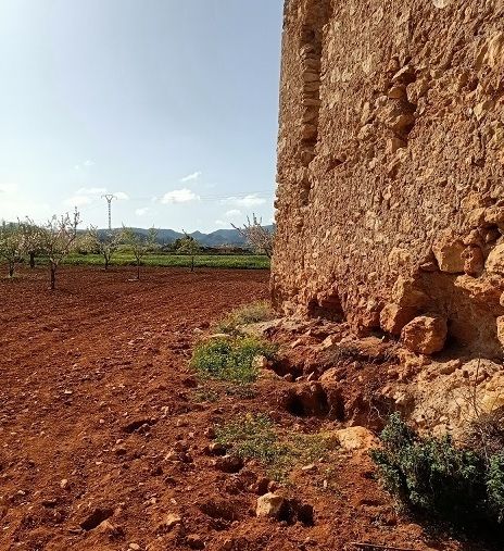 MC promoverá un entorno de protección para la Torre del Moro y que se actúe ante la deficiente instalación eléctrica de la Catedral - 2, Foto 2