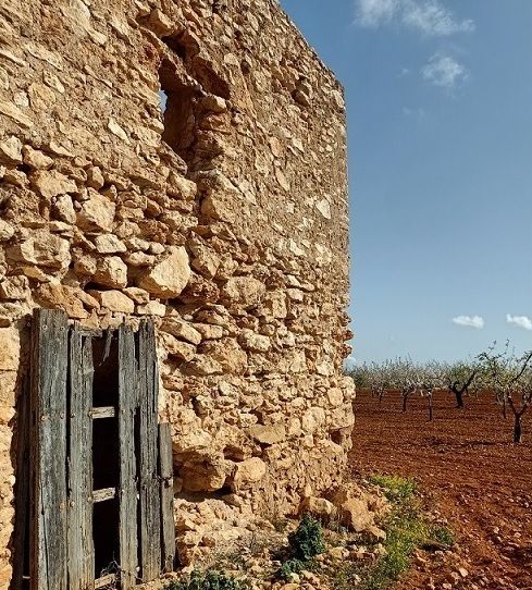 MC promoverá un entorno de protección para la Torre del Moro y que se actúe ante la deficiente instalación eléctrica de la Catedral - 3, Foto 3