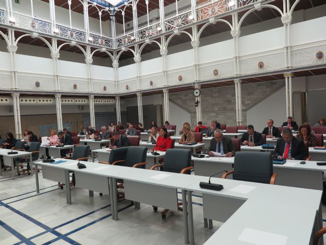 El Pleno de la Asamblea Regional aprueba una Declaración Institucional en apoyo a la aplicación de coeficientes reductores en la edad de jubilación de los trabajadores de la Industria Química y del Refino - 1, Foto 1