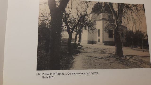 IU Verdes Podemos Jumilla lamentan el arranque de arbolado en la Avenida de la Asunción - 1, Foto 1