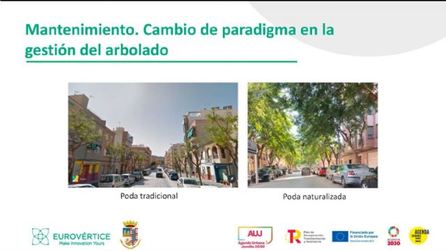 IU Verdes Podemos Jumilla lamentan el arranque de arbolado en la Avenida de la Asunción - 3, Foto 3