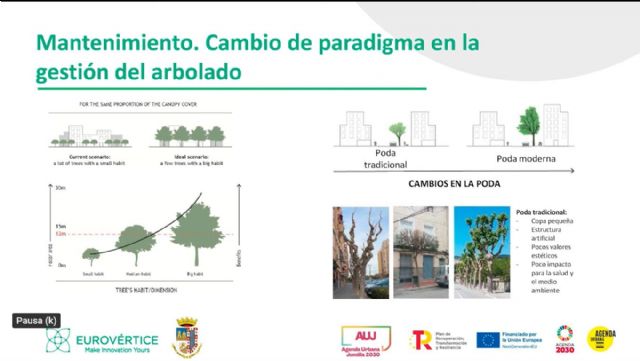 IU Verdes Podemos Jumilla lamentan el arranque de arbolado en la Avenida de la Asunción - 4, Foto 4