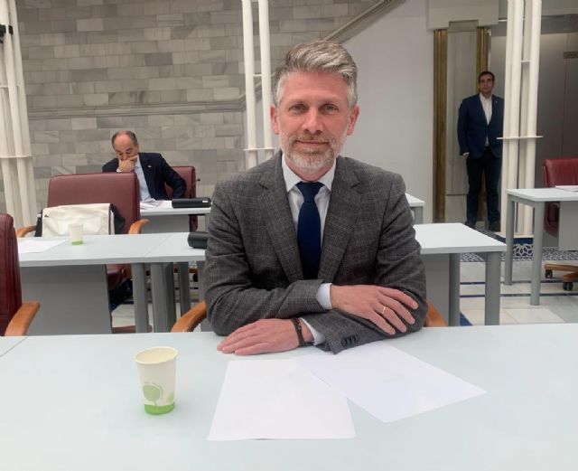 El PPRM defiende en la Asamblea Regional el modelo de familias numerosas, frente a una izquierda que busca suprimirlas - 1, Foto 1