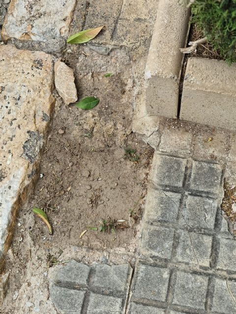 El PSOE denuncia la situación de deterioro y falta de mantenimiento de las aceras del municipio - 1, Foto 1