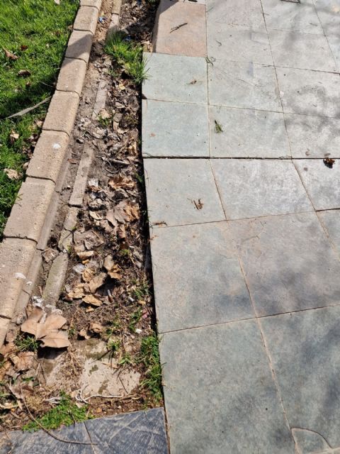 El PSOE denuncia la situación de deterioro y falta de mantenimiento de las aceras del municipio - 5, Foto 5