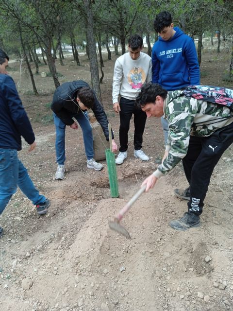 Bosque ProfeMadera en Murcia - 1, Foto 1