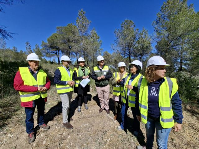 El Gobierno regional impulsa en Cehegín una acción piloto para adaptar los pinares al cambio climático y reducir el riesgo de incendios - 2, Foto 2