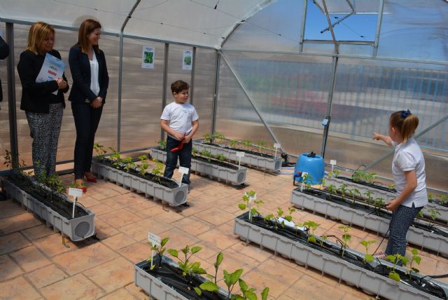 El Ciudad del Mar inaugura su nuevo Invernadero Escolar - 2, Foto 2