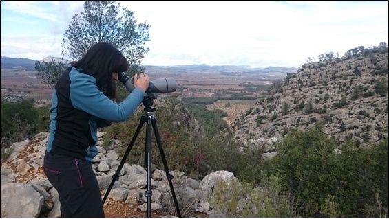 Medio Ambiente avanza en el desarrollo del Programa de seguimiento para la conservacin del parque regional de Sierra Espuña, Foto 1