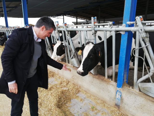 La Región produce más de 60 millones de litros de leche fresca de vaca - 1, Foto 1