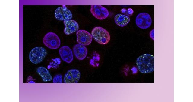 El CSIC lanza un estudio genético para identificar el riesgo individual de desarrollar formas graves de Covid-19 - 1, Foto 1