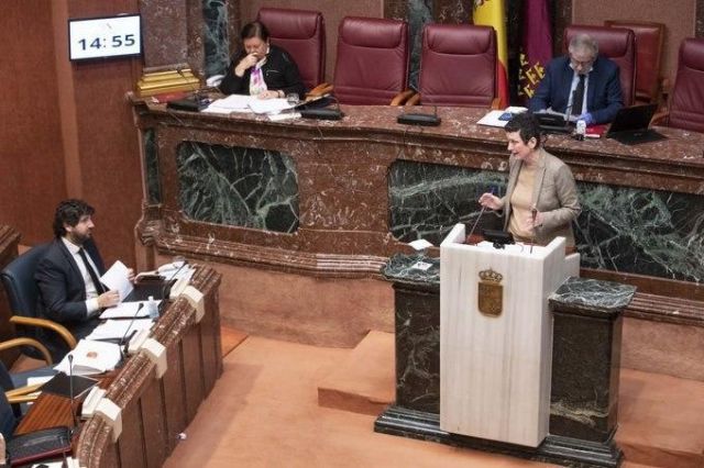 María Marín: López Miras ha demostrado estar más preocupado en hacer oposición al Gobierno de España que en hacer bien su trabajo - 1, Foto 1