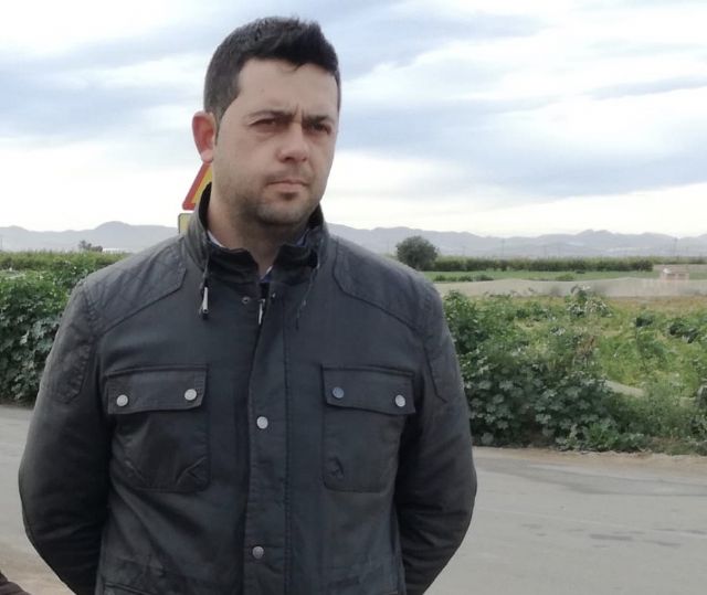 Situación del sector agrícola en Torre Pacheco - 3, Foto 3