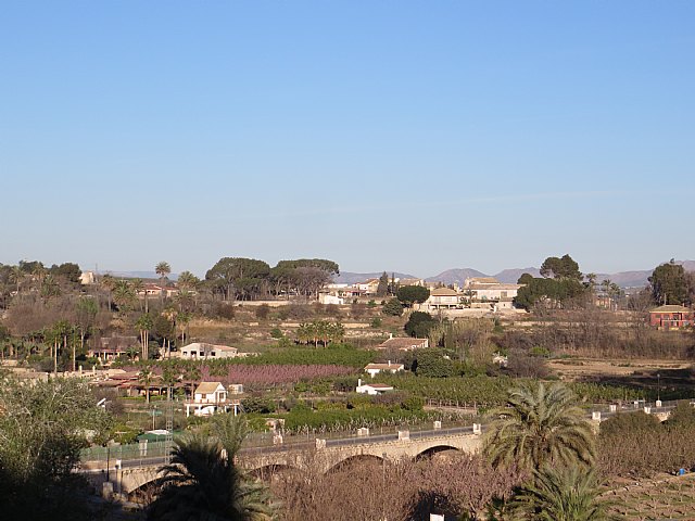 Podemos-Cieza aplaude las medidas urgentes del Gobierno para asegurar el empleo en el campo - 1, Foto 1