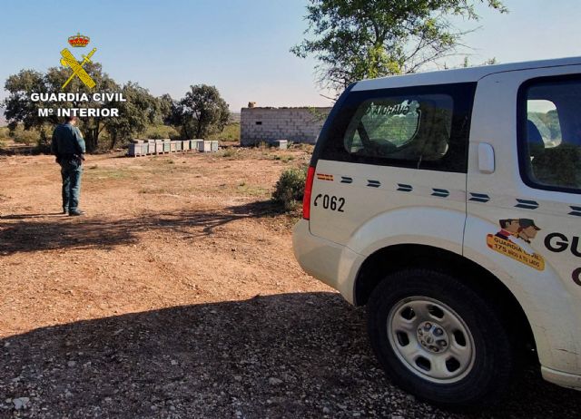 La Guardia Civil investiga a un apicultor de Jumilla por el uso ilegal de medicamentos en 230 colmenas - 1, Foto 1