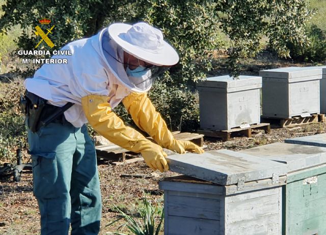 La Guardia Civil investiga a un apicultor de Jumilla por el uso ilegal de medicamentos en 230 colmenas - 2, Foto 2