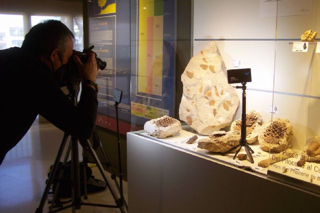 Investigadores de un proyecto sobre la flora de hace 66 millones de años visitan el mupe - 1, Foto 1
