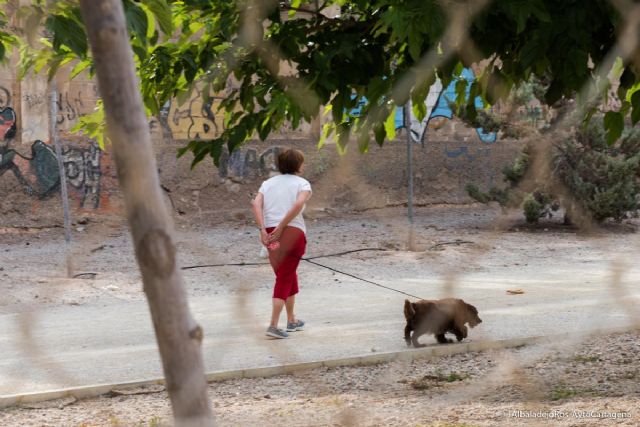 La Policía Local intensificará, con una campaña especial, la vigilancia de las mascotas - 1, Foto 1