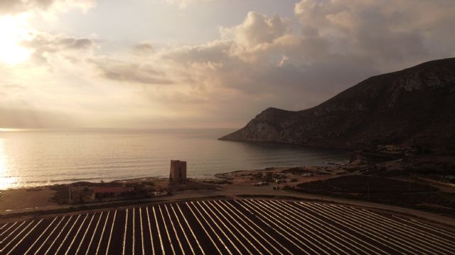 ¿Por qué actuar judicialmente contra ANSE en Cope cuando pudo haber un acuerdo? - 1, Foto 1