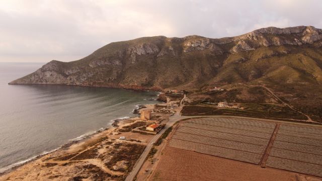 ¿Por qué actuar judicialmente contra ANSE en Cope cuando pudo haber un acuerdo? - 2, Foto 2