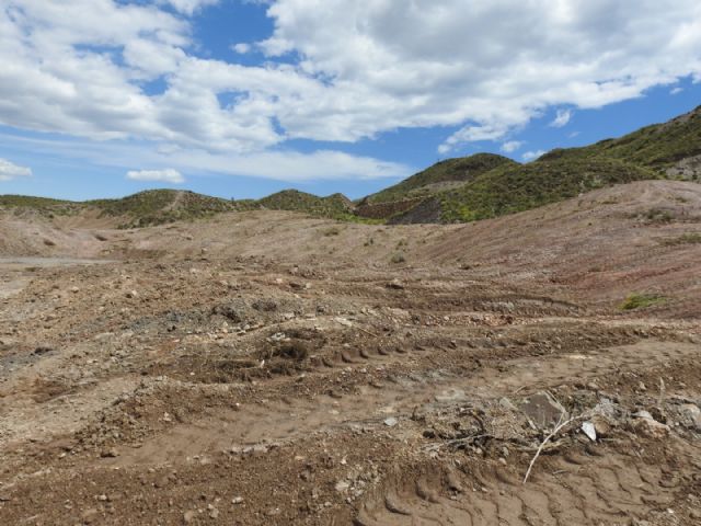 Graves daños al medio natural por una roturación con fines urbanísticos en Águilas - 2, Foto 2