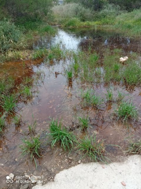 IU exige intervenciones urgentes ante la contaminación del Guadalentín a su paso por el centro de Lorca - 3, Foto 3