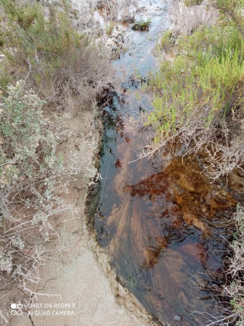 IU exige intervenciones urgentes ante la contaminación del Guadalentín a su paso por el centro de Lorca - 5, Foto 5