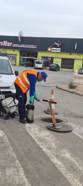 El Ayuntamiento inicia un plan de choque contra las cucarachas - 1, Foto 1