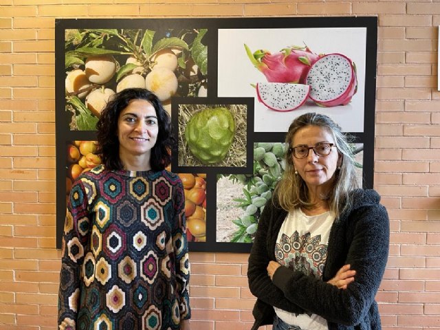 GOODFOOD: Educación para convertirnos en consumidores responsables - 1, Foto 1