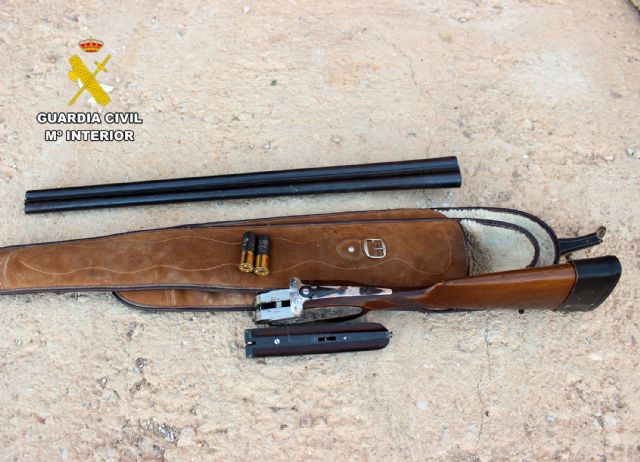 La Guardia Civil desmantela un activo punto de producción ilícita de marihuana - 1, Foto 1