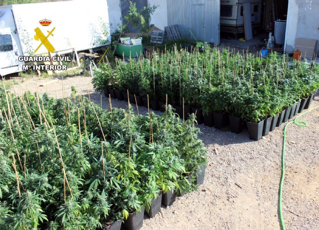 La Guardia Civil desmantela un activo punto de producción ilícita de marihuana - 2, Foto 2