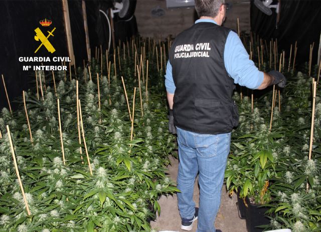La Guardia Civil desmantela un activo punto de producción ilícita de marihuana - 3, Foto 3