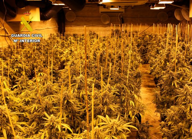 La Guardia Civil desmantela un activo punto de producción ilícita de marihuana - 5, Foto 5
