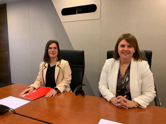 Toñi Abenza: Es una vergüenza que la consejera de Política Social venga a vendernos la Ley para Personas con Discapacidad, una medida que el PP lleva prometiendo siete años - 1, Foto 1