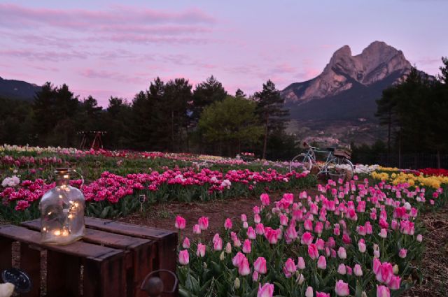 Día de la madre: Ruta de las flores por 5 de los parajes más espectaculares del mes de mayo - 4, Foto 4