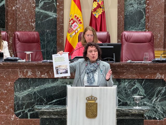 IU-Verdes y Podemos fuerzan al Gobierno regional a rectificar en las ayudas de transporte escolar, aunque el PP y Vox bloquean su ampliación - 2, Foto 2