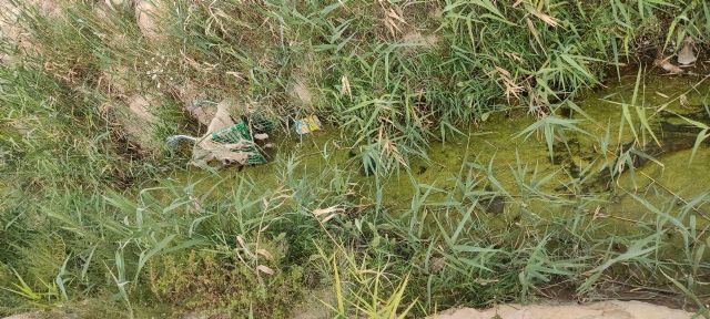 IU-Verdes denuncia abandono y basura junto al IES Antonio Hellín en Puerto de Mazarrón - 3, Foto 3