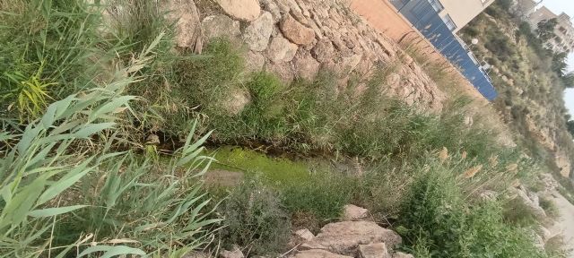 IU-Verdes denuncia abandono y basura junto al IES Antonio Hellín en Puerto de Mazarrón - 5, Foto 5