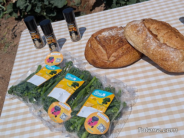 Totana y la comarca producen el 80% del Bimi que se consume en Europa - 4, Foto 4