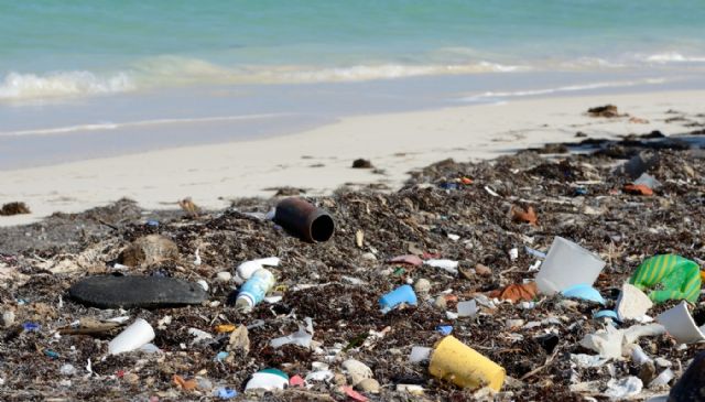 IU pedirá al Ayuntamiento medidas para frenar la generación de basura marina en Lorca - 1, Foto 1