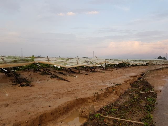 El Ayuntamiento solicita ayudas a la Comunidad Autnoma por los daños de las lluvias del da 10 de mayo, Foto 4