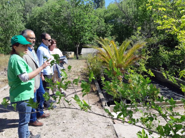 En marcha cuatro programas de empleo, que realizarán actuaciones de mejora en zonas verdes y entornos urbanos de Caravaca - 2, Foto 2