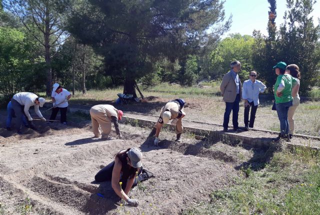 En marcha cuatro programas de empleo, que realizarán actuaciones de mejora en zonas verdes y entornos urbanos de Caravaca - 3, Foto 3