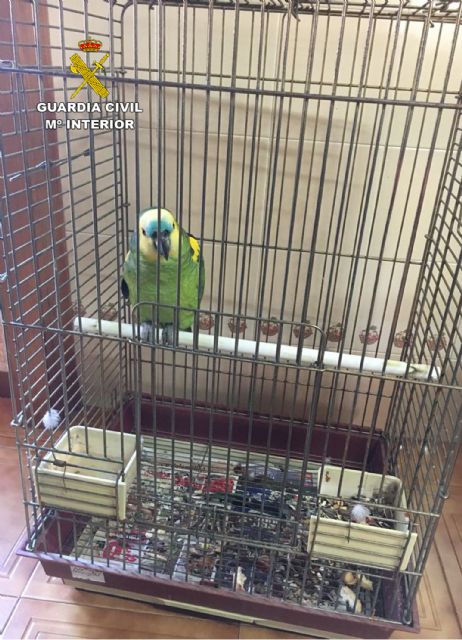 Un guardia civil fuera de servicio esclarece un robo en una vivienda de El Albujón - 1, Foto 1