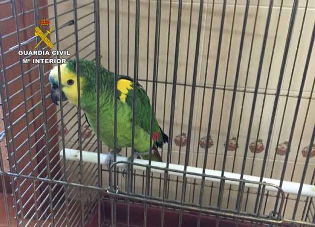 Un guardia civil fuera de servicio esclarece un robo en una vivienda de El Albujón - 2, Foto 2