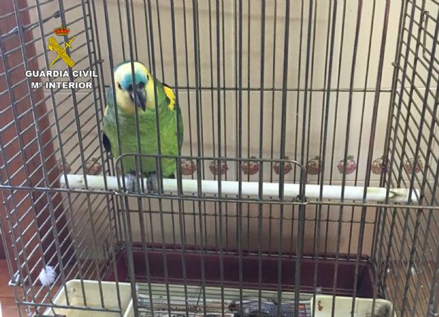 Un guardia civil fuera de servicio esclarece un robo en una vivienda de El Albujón - 3, Foto 3